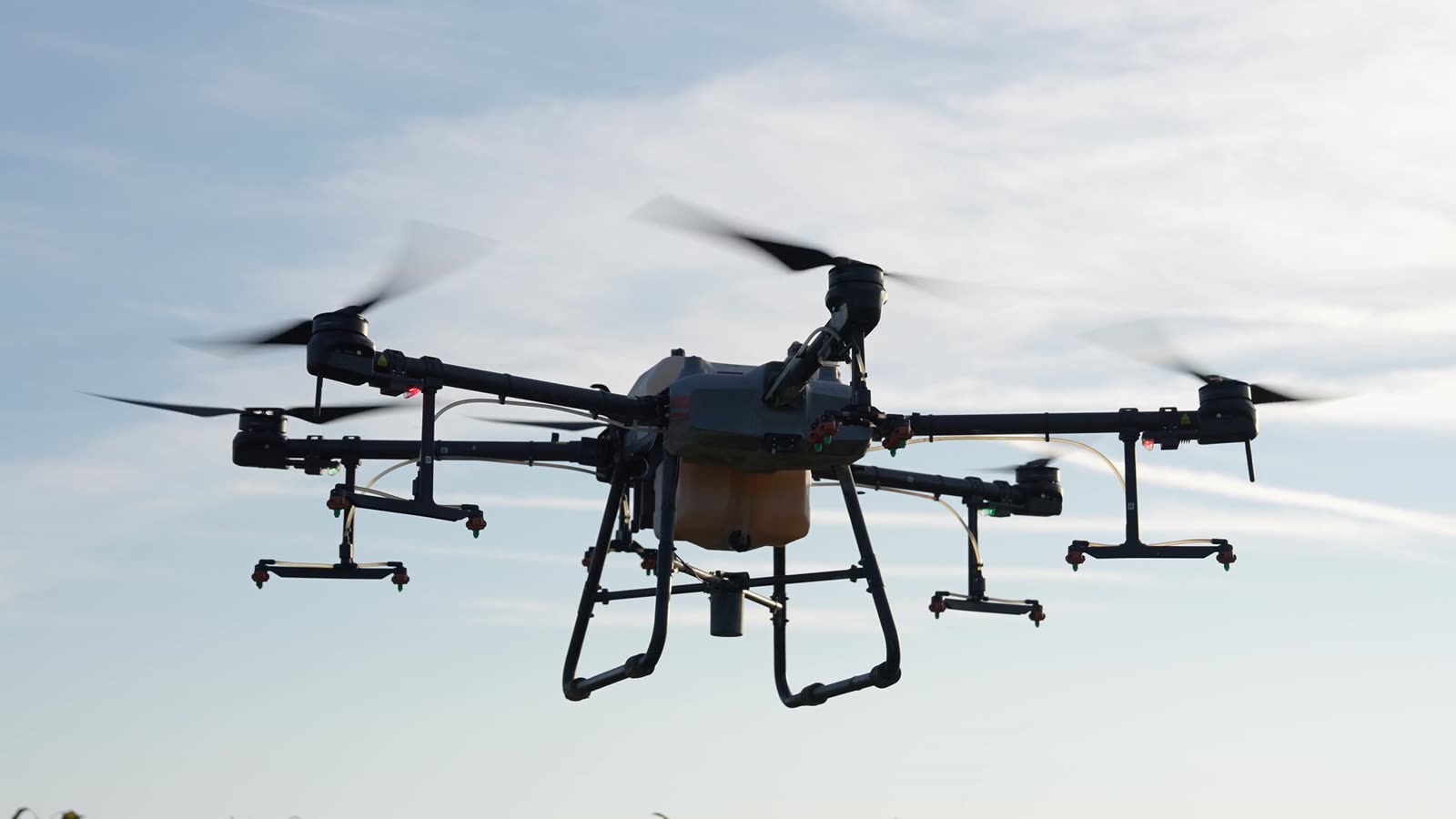 Dron de pulverización trabajando en una parcela de olivar